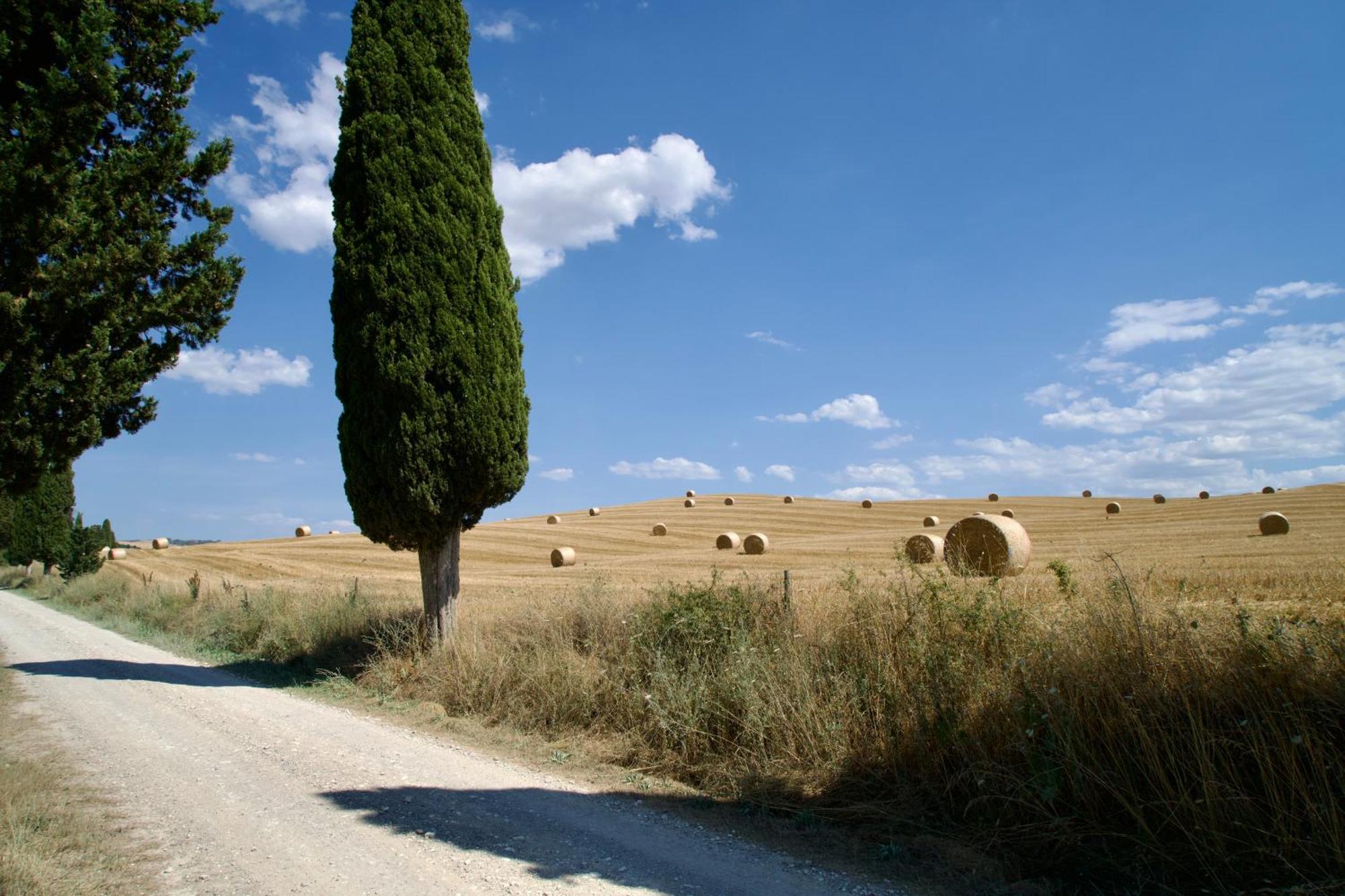 L'Olmo Bed and Breakfast Monticchiello Buitenkant foto