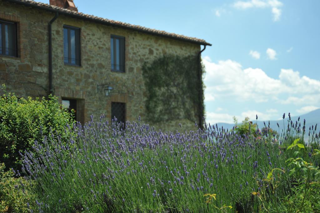 L'Olmo Bed and Breakfast Monticchiello Buitenkant foto