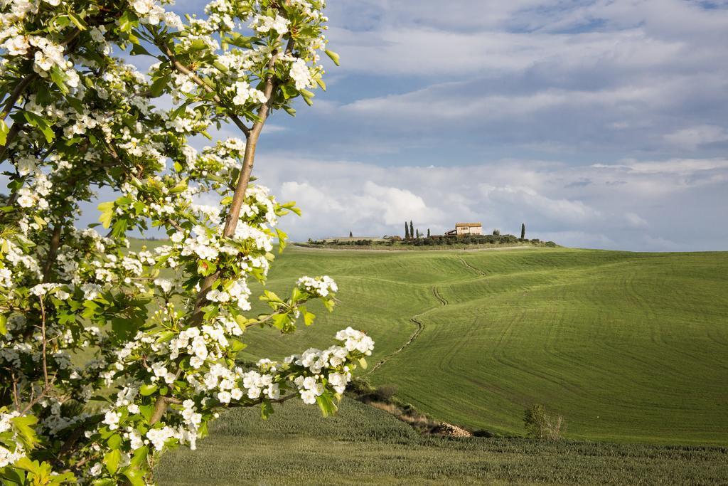 L'Olmo Bed and Breakfast Monticchiello Buitenkant foto